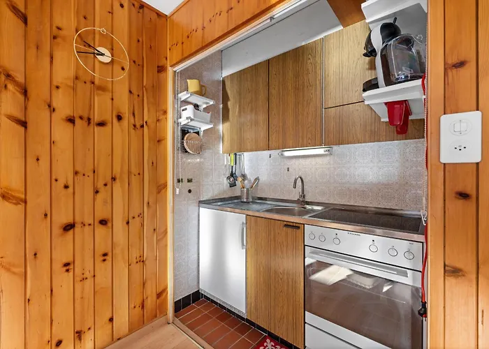 Les Bouleaux D1 - 2-4 Pers - Centre Station