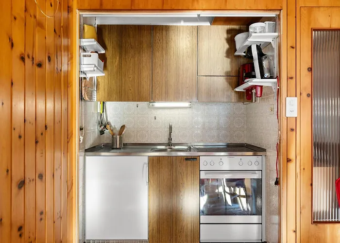 Les Bouleaux D1 - 2-4 Pers - Centre Station Daire